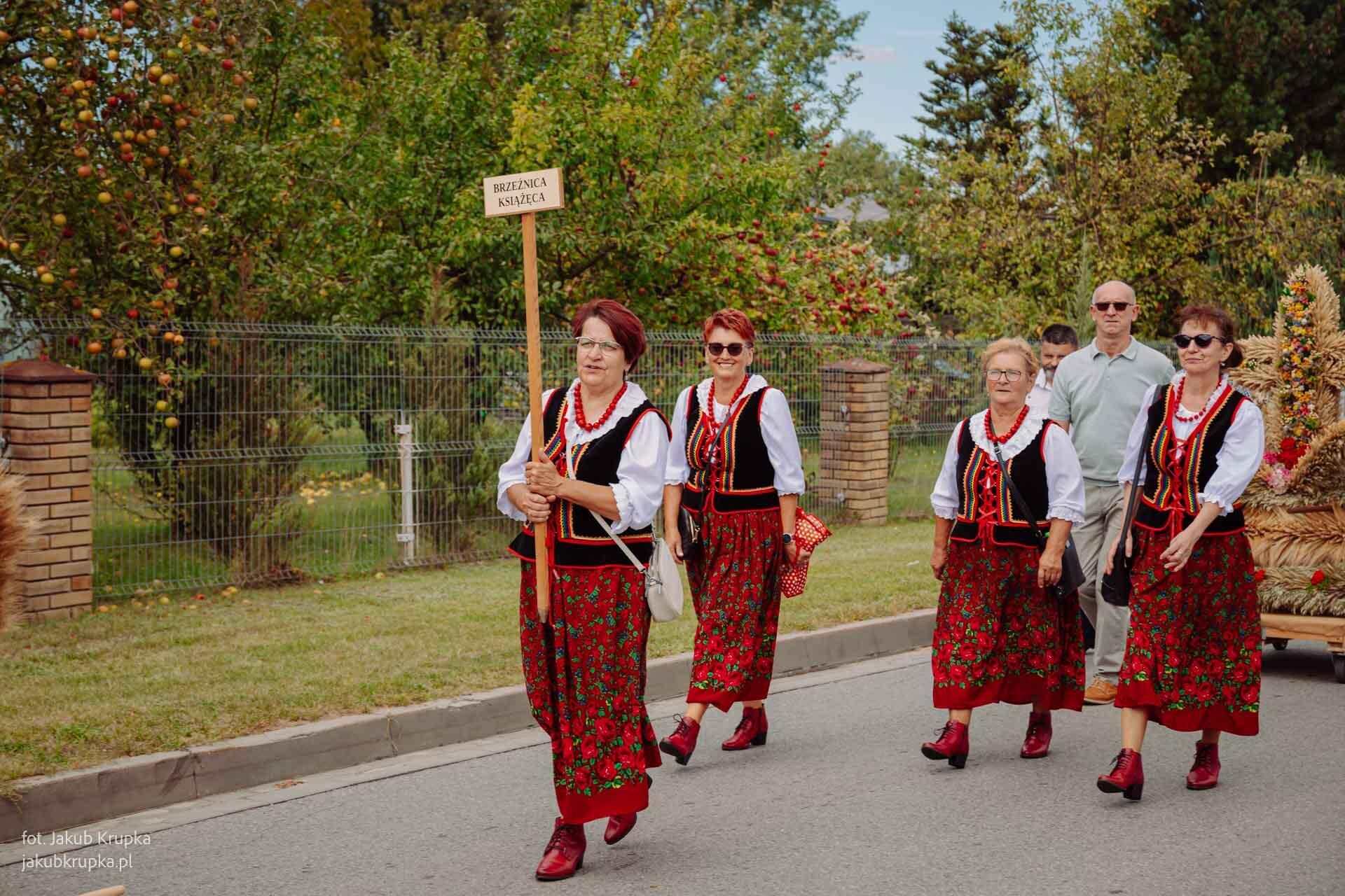 2026/08/30 – Dożynki Gminno-Parafialne w Niedźwiadzie